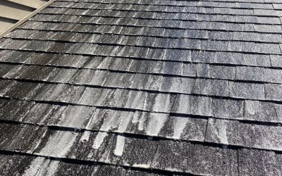 The Importance of Roof Cleaning in Tomah, Onalaska, Holmen, West Salem, and Sparta WI