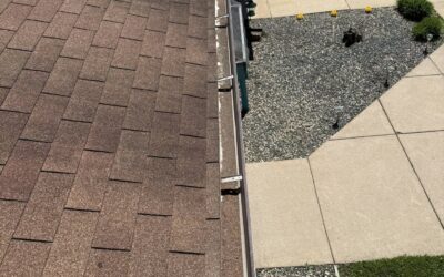 Roof Cleaning in Black River Falls: How Forest Ecology Dictates Smarter Shingle Care