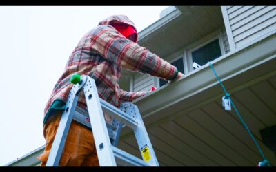 Professional Christmas Light Removal/Storage